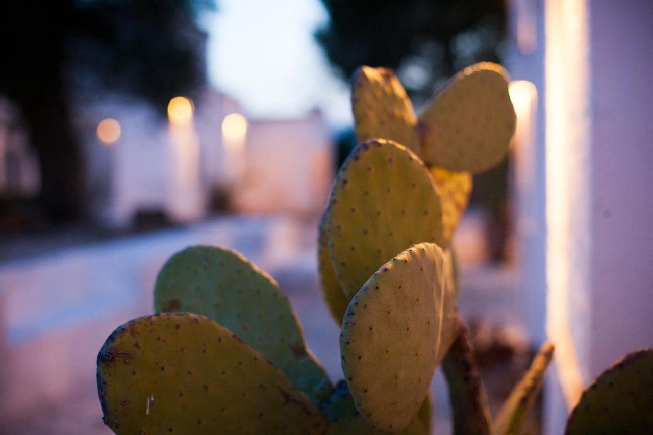 Masseria Cimino Savelletri Bagian luar foto